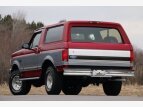 Thumbnail Photo 9 for 1994 Ford Bronco